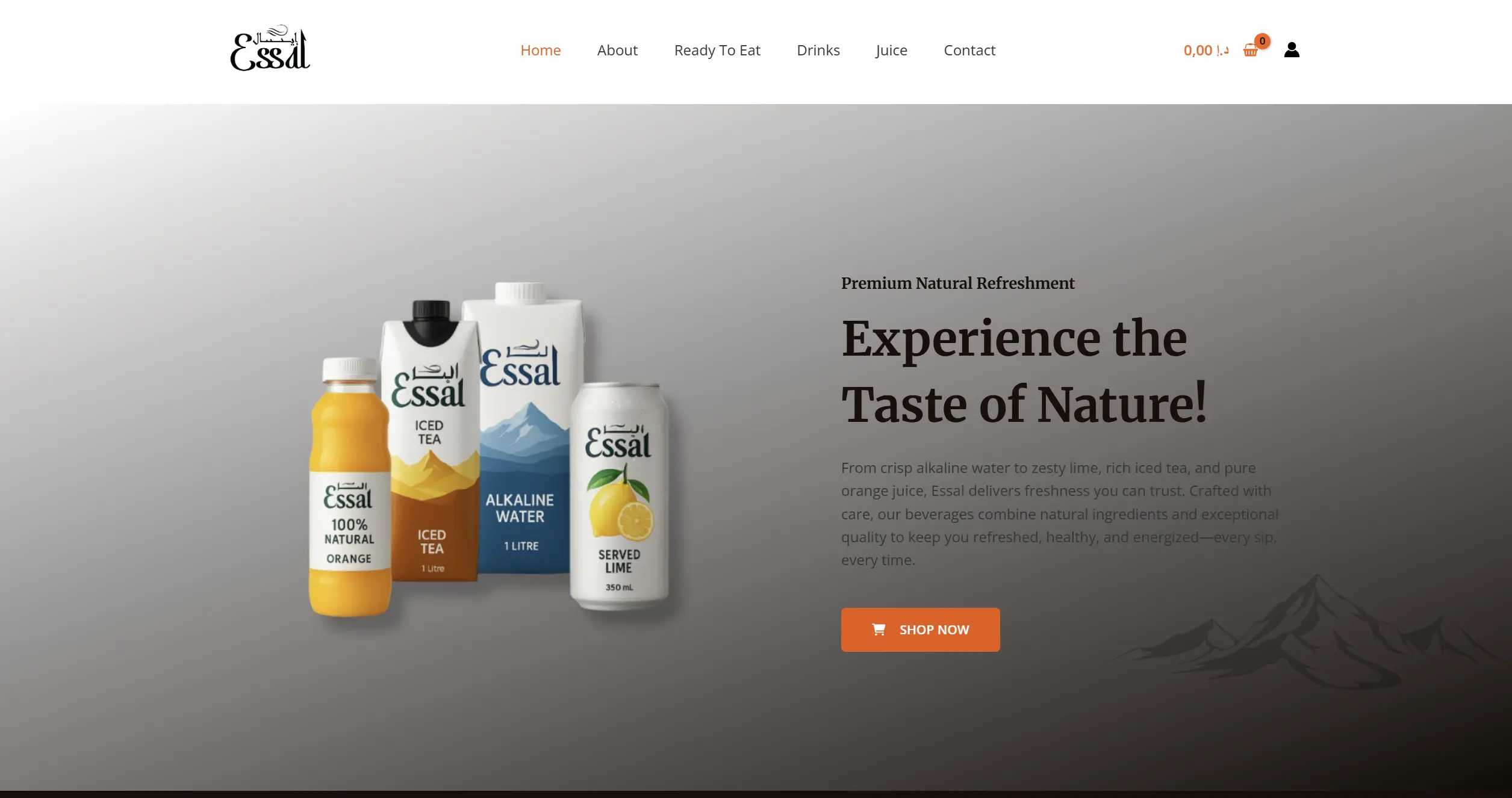 Essal Group UAE website